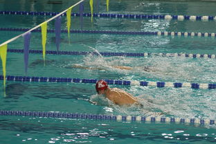 张雨霏自由泳接力助队夺冠，张雨霏自由泳接力助队夺冠了吗
